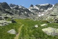 Alpine meadow in Sierra de Gredos Royalty Free Stock Photo
