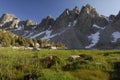 Alpine meadow in Sierra Nevada