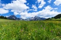 Alpine meadow on a sunnny day with mountain peaks in the background. Austria, Tirol, Walderalm
