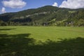 Alpine meadow on a sunny day nearby Lunzer Lake Austria Royalty Free Stock Photo