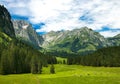 Alpine meadow in Switzerland