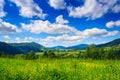 Alpine meadow with tall grass Royalty Free Stock Photo