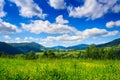 Alpine meadow with tall grass