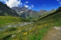 Alpine meadow in Valle dAosta mountains