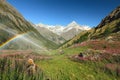 Alpine Meadow, Swiss Alps, Tasch, Weisshorn, Switzerland Royalty Free Stock Photo
