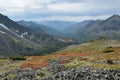 Alpine meadows autumn coloring Barguzinsky Ridge on Lake Baikal.. Royalty Free Stock Photo