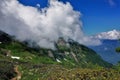 Alpine meadows in the Caucasus Mountains. The path winds among flowering rhododendrons.