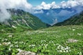 Alpine meadows in the Caucasus mountains. Summer sunny day. Royalty Free Stock Photo