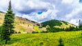 Alpine meadows covered in pink fireweed wildflowers at the foot of Tod Mountain Royalty Free Stock Photo