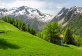 Alpine meadows