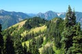 Olympic National Park Alpine Meadows on Hurricane Ridge above Elwha River Valley, Washington State, Pacific Northwest