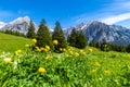 Alpine meadows Karwendel Nature Park, Austria, Tirol Royalty Free Stock Photo