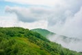 alpine meadows of mnt. runa, ukraine.