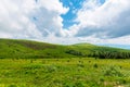 alpine meadows of mnt. runa, ukraine. Royalty Free Stock Photo