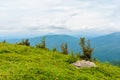 alpine meadows of mnt. runa, ukraine. Royalty Free Stock Photo