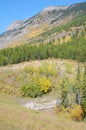 Alpine meadows and mountains Royalty Free Stock Photo