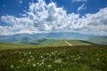 Alpine meadows. Mountains in the background. A beautiful, bright, sunny summer day. Beautiful white clouds in a blue sky Royalty Free Stock Photo