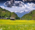 Alpine meadows near the village of Bondo Royalty Free Stock Photo