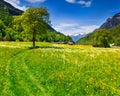 Alpine meadows near the village of Bondo. Royalty Free Stock Photo