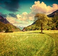 Alpine meadows near the village of Bondo. Alps, Switzerland. Royalty Free Stock Photo