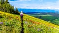 Alpine meadows of Tod Mountain near the alpine village of Sun Peaks in British Columbia, Canada Royalty Free Stock Photo