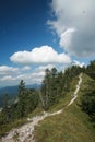 Alpine mountain crest in summer Royalty Free Stock Photo