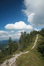 Alpine mountain crest in summer