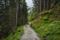 Alpine mountain hiking trail near Grawa waterfall. Sulzenau Alm, Stubai Alps, Austria Royalty Free Stock Photo