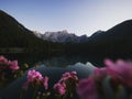 Alpine mountain lake landscape flower panorama reflection at Laghi di Fusine Weissenfelser See in Dolomites alps Italy Royalty Free Stock Photo