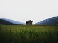 Alpine mountain panorama of idyllic remote wooden shed cabin in green grass field meadow of Dolomites South Tyrol Italy Royalty Free Stock Photo