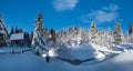 Alpine mountain snowy winter fir forest with snowdrifts and frozen small stream Royalty Free Stock Photo