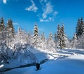 Alpine mountain snowy winter fir forest with snowdrifts and frozen small stream Royalty Free Stock Photo