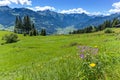 Alpine mountain view with bright green meadow in the foreground. Austria, Tirol, Zillertal, Zillertal High Alpine Road