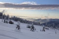 Alpine mountains landscape with snow and blue sky. Frosty trees under warm sunlight. Wonderful wintry landscape