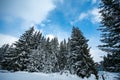 Alpine mountains landscape with white snow and blue sky. Sunset winter in nature. Frosty trees under warm sunlight. Wonderful wint Royalty Free Stock Photo