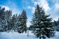 Alpine mountains landscape with white snow and blue sky. Sunset winter in nature. Frosty trees under warm sunlight. Wonderful wint Royalty Free Stock Photo