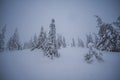 Alpine mountains landscape with white snow and blue sky. Sunset winter in nature. Frosty trees under warm sunlight. Wonderful wint Royalty Free Stock Photo