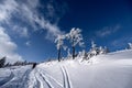 Alpine mountains landscape with white snow and blue sky. Sunset winter in nature. Frosty trees under warm sunlight. Wonderful wint Royalty Free Stock Photo