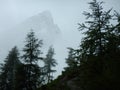 Alpine natural landscale in a foggy weather Royalty Free Stock Photo