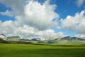 The alpine pasture