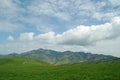 Alpine pasture and sky