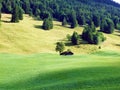 Alpine pastures and meadows in the Sernftal valley Royalty Free Stock Photo