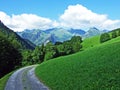 Alpine pastures and meadows in the Sernftal valley Royalty Free Stock Photo