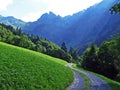 Alpine pastures and meadows in the Sernftal valley Royalty Free Stock Photo