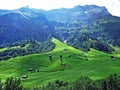 Alpine pastures and meadows in the Sernftal valley Royalty Free Stock Photo