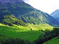 Alpine pastures and meadows in the Sernftal valley Royalty Free Stock Photo