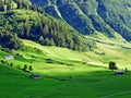 Alpine pastures and meadows in the Sernftal valley Royalty Free Stock Photo