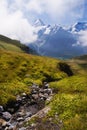 Alpine Peaks and Alpine Streams Royalty Free Stock Photo