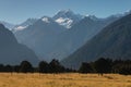 Alpine peaks in Westland National Park Royalty Free Stock Photo