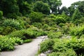 The Alpine Plant Garden in Hokkaido University Botanical Garden